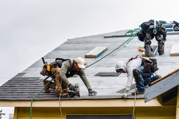 Professional Gutter Installation technician working in Mead, CO